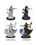 FEMALE HUMAN WIZARD D&D