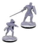 REBORN PALADIN & REBORN WARLOCK NOLZUR'S MARVELOUS MINIATURES