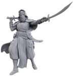 DESERT GIANT - PATHFINDER MINIATURE