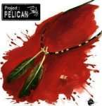 PROJECT : PELICAN