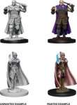 HUMAN RANGER & MOON ELF SORCERER - D&D NOLZUR'S MARVELOUS MINIATURES