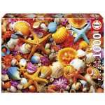 1000P COLLAGE DE COQUILLAGES
