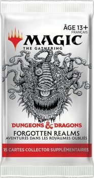 COLLECTOR BOOSTER DND ROYAUMES OUBLIES FORGOTTEN REALMS VF