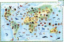 PUZZLE observation - Enfant 100P 