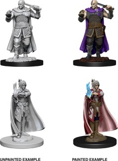 Human Ranger & Moon Elf Sorcerer - D&D Nolzur’s Marvelous Miniatures