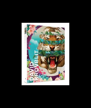 DAVID KROVBLIT VISION QUEST 1000 PCS