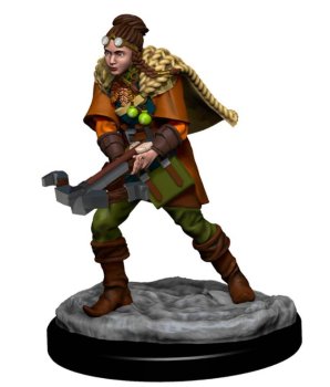 HUMAN RANGER FEMALE PAINTED