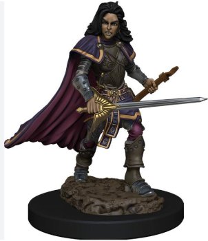 HUMAN BARD FEMALE PAINTED