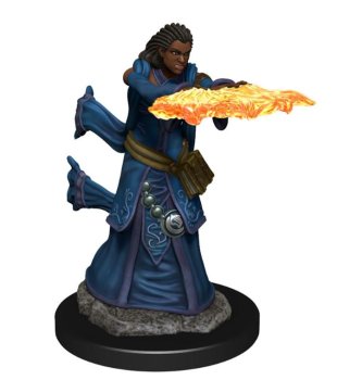 HUMAN WIZARD FEMALE PAINTED