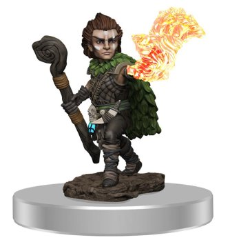MALE GNOME DRUID PAINTED