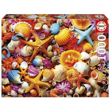 1000P COLLAGE DE COQUILLAGES